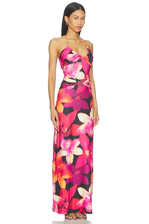 Runaway The Label Nina Ruched Halter Maxi Dress in Multi