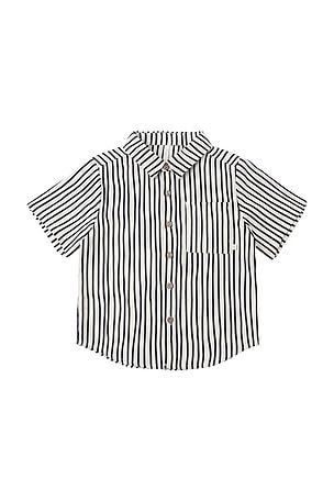 Rylee + Cru Collared Short Sleeve Shirt in Black