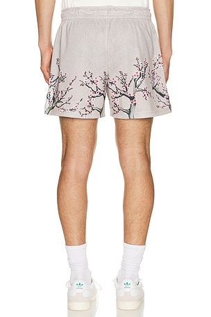 Ryoko Raen SHORT CHERRY BLOSSOM en Gris