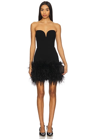 Posey Mini Feather Dress SANS FAFF