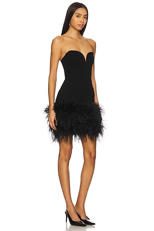 SANS FAFF Posey Mini Feather Dress in Black