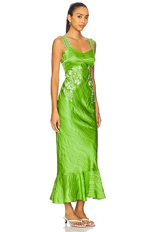 SALONI Mimi C Dress in Parakeet & Ivory in Green
