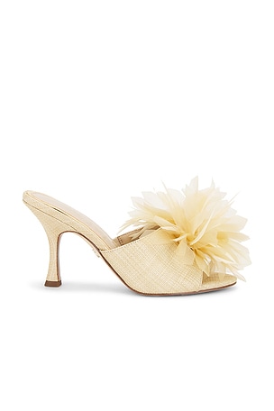 Jace Mule Sam Edelman