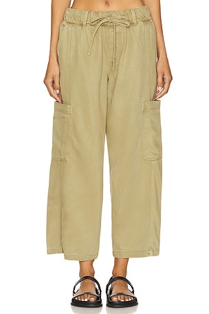 Area Pant Sanctuary