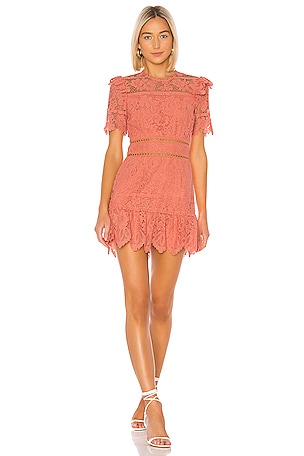 saylor orange dress Rant & Rave Saylor Dress Orange