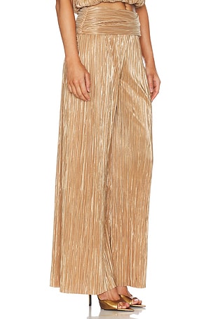 Sabina Musayev Rian Pants in Brown