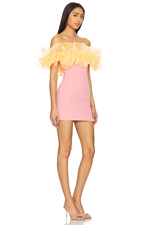 Susanna Chow Sasha Dress in Pink