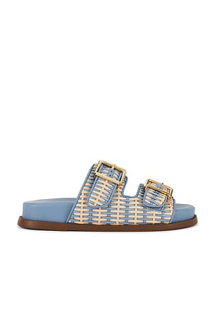 Naomi Sandal Schutz