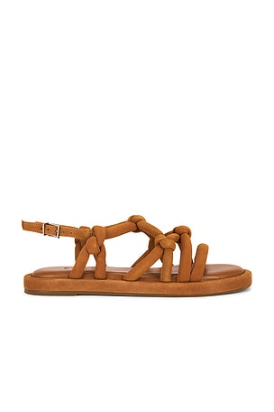 Schutz