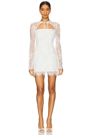 x REVOLVE Claire Mini Dress Stone Cold Fox