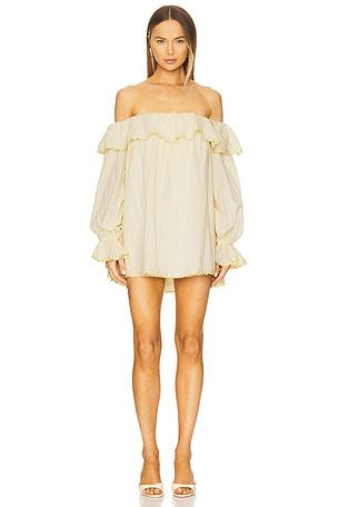 x REVOLVE Abby Mini Dress Stone Cold Fox