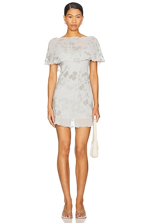 x REVOLVE Blaire Embroidered Mini Dress Stone Cold Fox