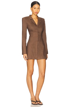 Stone Cold Fox x REVOLVE Bailey Mini Dress in Brown