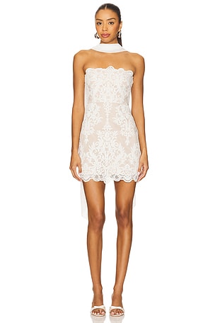 x REVOLVE Amanda Mini Dress Stone Cold Fox