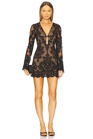 x REVOLVE Parker Mini Dress Stone Cold Fox