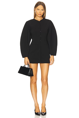 x REVOLVE Mandy Mini Dress Stone Cold Fox