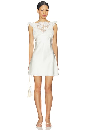 x REVOLVE Carmela Mini Dress Stone Cold Fox