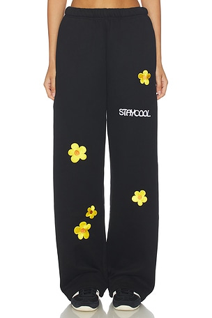 Sunflower Straight Sweatpants Stay Cool