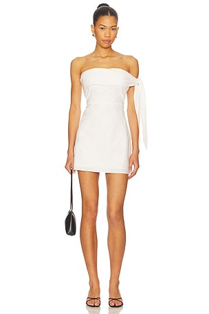 Jaymie Mini Dress SNDYS