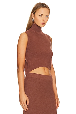 SNDYS Fawn Top in Brown