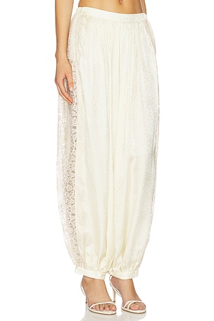 Sea Ethel Solid Bloomer Pants in Yellow