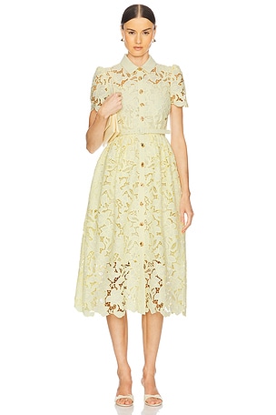 Lace Collared Midi Dress self-portrait