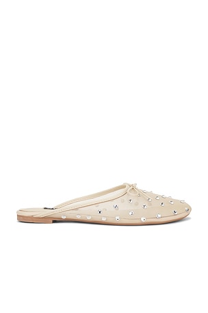 Cole Flat SENSO
