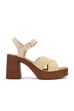 Paloma Platforms Seychelles