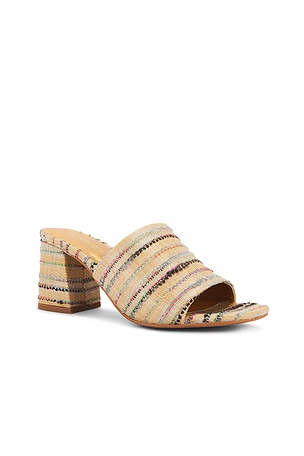 Seychelles Adapt Mule in Neutral