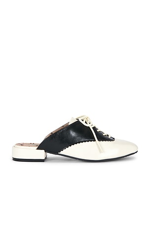 Wendy Darling Slide Seychelles