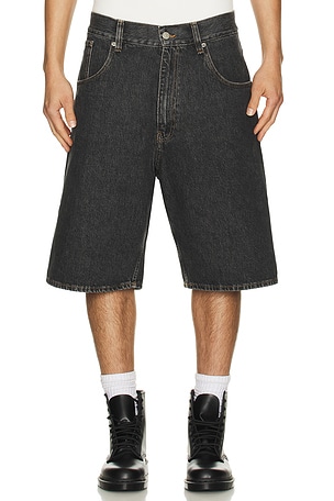 Super Wide Short Sunflower