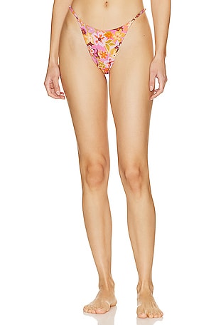 Isle Bikini Bottom Stone Fox Swim