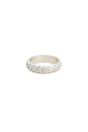 ANILLO Serge de Nimes