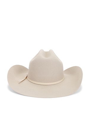 Seager 10x Longhorn Hat in Grey