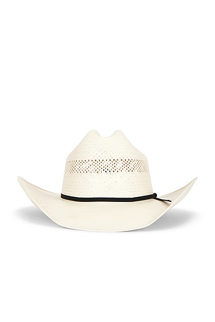 20x Longhorn Seager