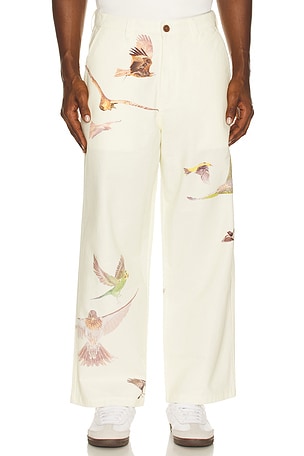 Daybreak Pants Students Golf