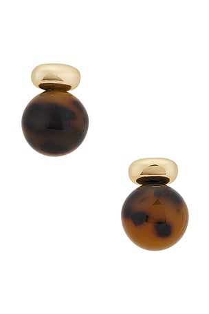 Alice Tortoise Earring SHASHI