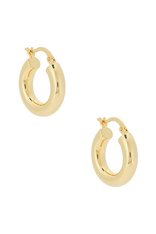 Dominique Small Hoop SHASHI