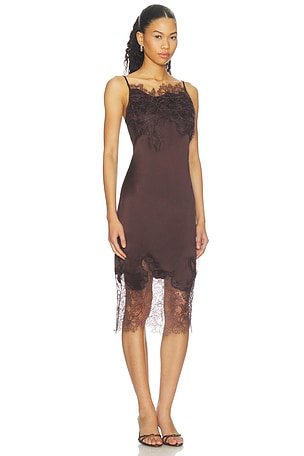 Shona Joy Lucia Lace Midi Dress in Brown