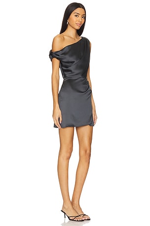Show Me Your Mumu Jodie Mini Dress in Grey