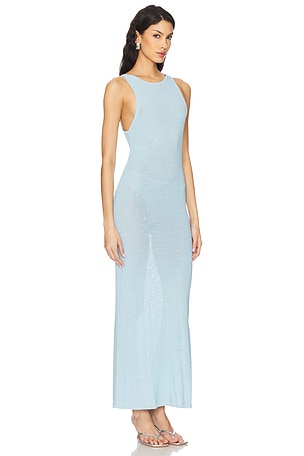 Show Me Your Mumu Miche Maxi Dress in Baby Blue