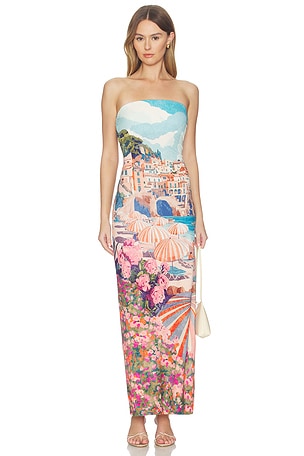 Taylor Tube Dress Show Me Your Mumu