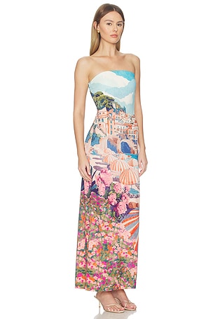 Show Me Your Mumu ROBE TUBE TAYLOR en Bleu,Rose Pâle 