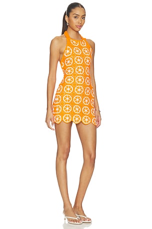 Show Me Your Mumu Happy Halter Mini Dress in Orange