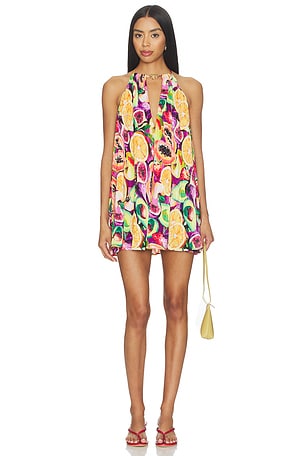 Lucille Mini Dress Show Me Your Mumu