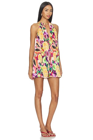 Show Me Your Mumu Lucille Mini Dress in Orange, Pink