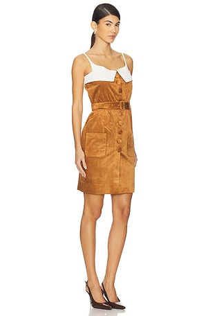 Shushu/Tong Fan-shaped Turn-down Collar Camisole Dress in Brown