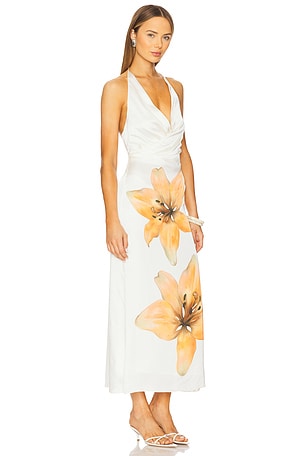 Significant Other Elaina Dress in Ivory,Orange