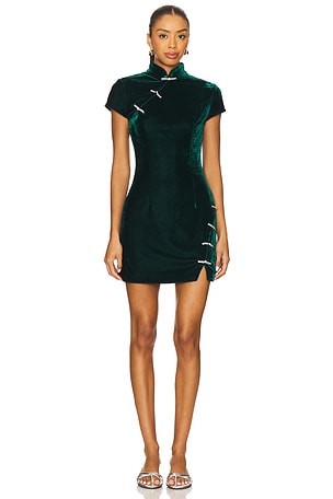 Ivy Velvet Mini Dress SAU LEE