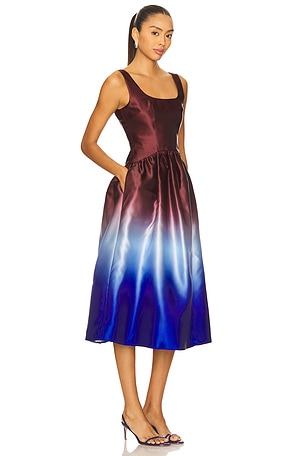 Solid & Striped The Gianna Dress in Blue,Brown